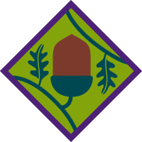 young-leader-module-a-badge-png